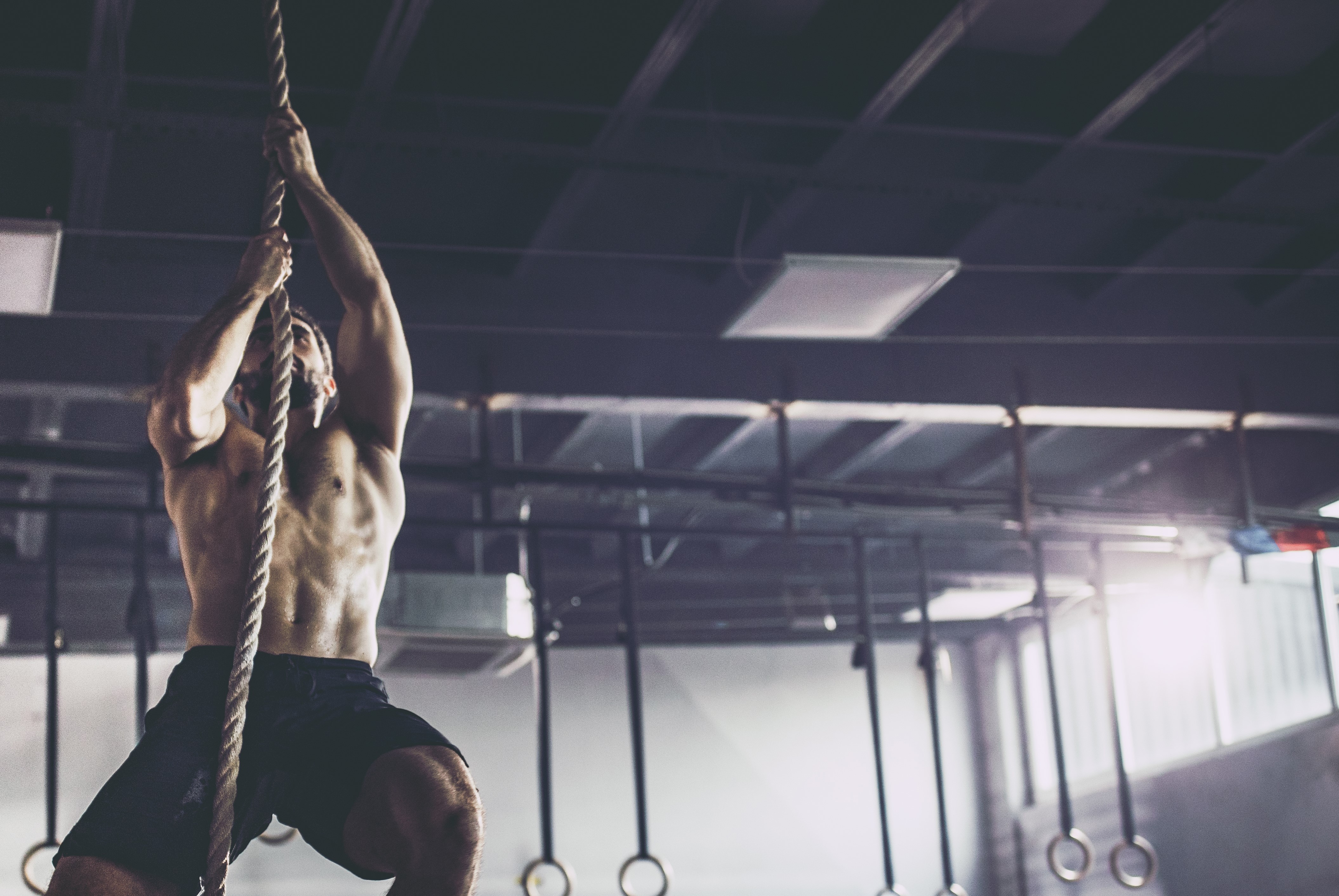 Muscular build athlete climbing up the rope in a gym. TOP FIT STUDIOS